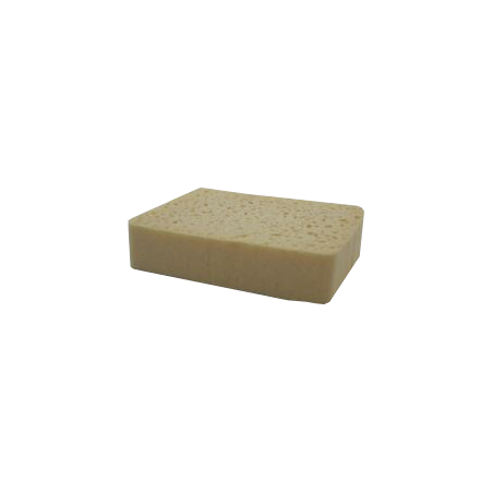 EPONGE VEGETALE N°6