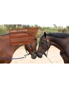 Gamme Equestre