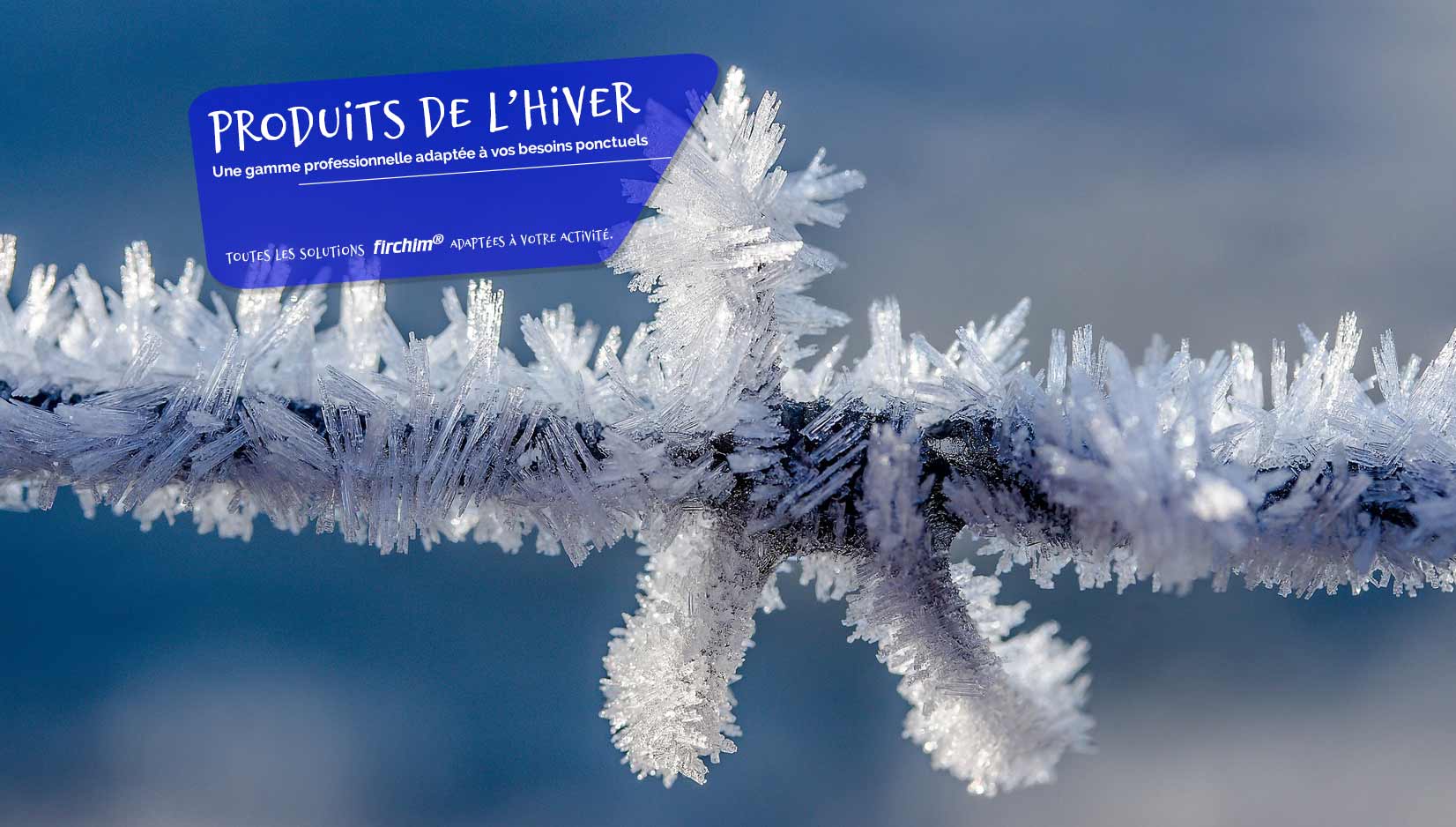 Sélection hiver